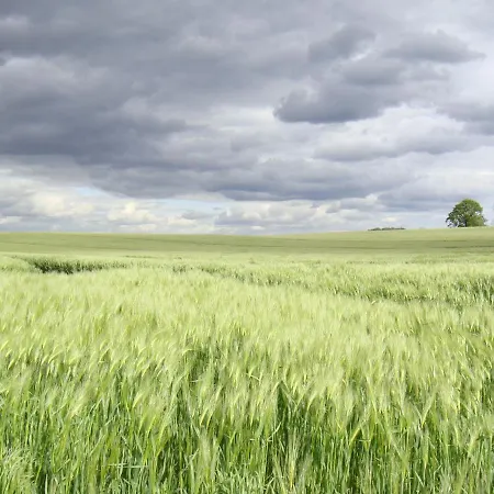 Kleine Auszeit - Natur und Erholung in Mecklenburg Reimershagen Exterior foto