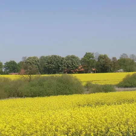 Kleine Auszeit - Natur und Erholung in Mecklenburg Reimershagen Exterior foto