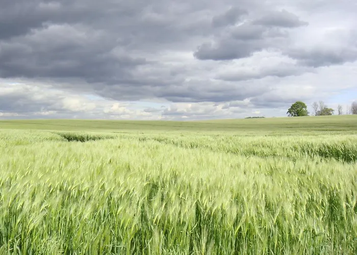 Kleine Auszeit - Natur Und Erholung In Mecklenburg