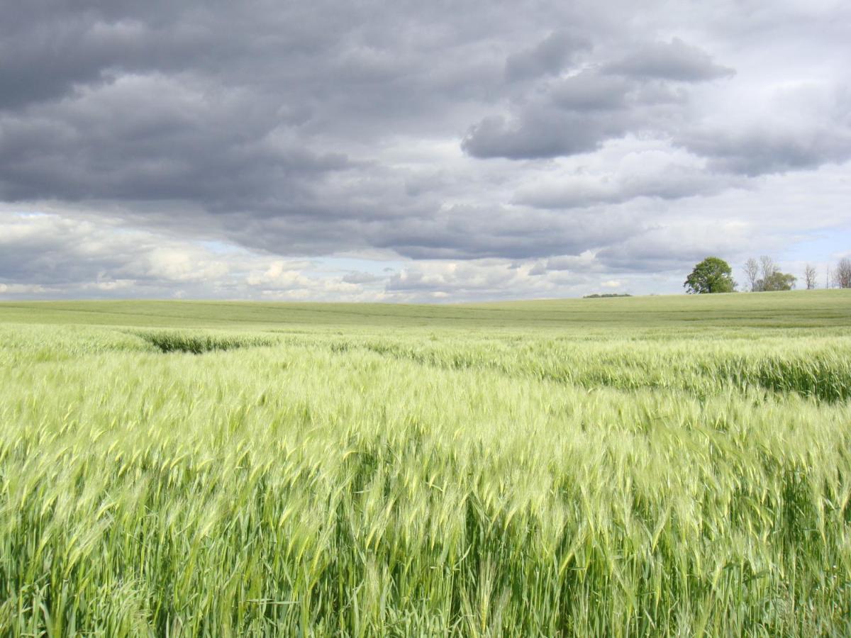 Kleine Auszeit - Und Erholung In Mecklenburg * Reimershagen