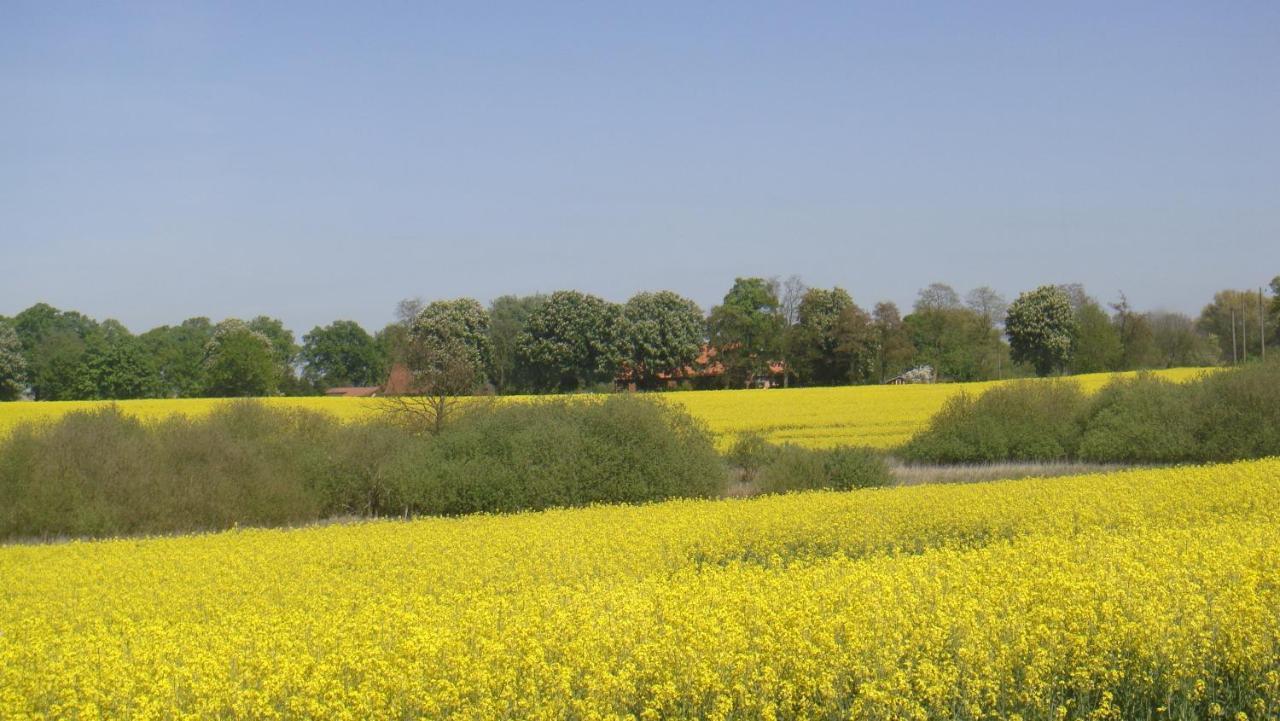 Apartment Kleine Auszeit - Und Erholung In Mecklenburg *