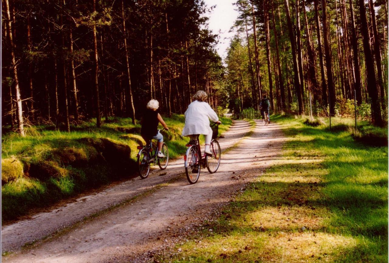 Apartment Kleine Auszeit - Und Erholung In Mecklenburg Reimershagen